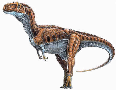 Eustreptospondylus Eustreptospondylus