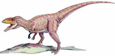 Eustreptospondylus Eustreptospondylus