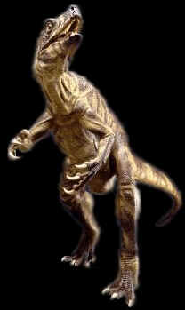 Evolução dos Dinossauros Evolução dos Dinossauros