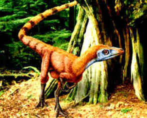 Evolução dos Dinossauros Evolução dos Dinossauros