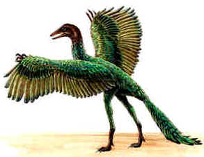 Evolução dos Dinossauros Evolução dos Dinossauros