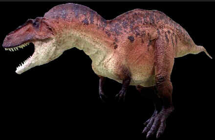 Evolução dos Dinossauros Evolução dos Dinossauros