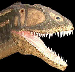 Evolução dos Dinossauros Evolução dos Dinossauros