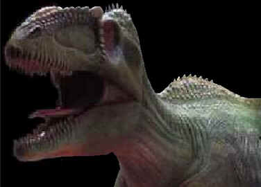 Evolução dos Dinossauros Evolução dos Dinossauros
