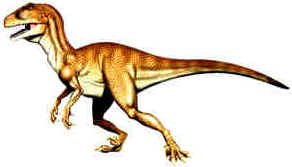 Evolução dos Dinossauros Evolução dos Dinossauros