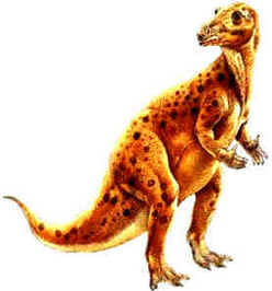Evolução dos Dinossauros Evolução dos Dinossauros