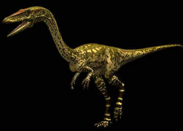 Evolução dos Dinossauros Evolução dos Dinossauros