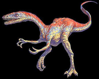 Evolução dos Dinossauros Evolução dos Dinossauros