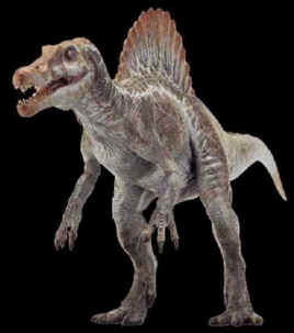 Evolução dos Dinossauros Evolução dos Dinossauros