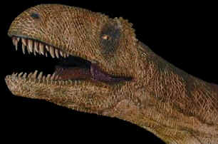 Evolução dos Dinossauros