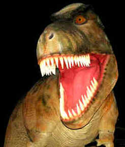 Evolução dos Dinossauros Evolução dos Dinossauros