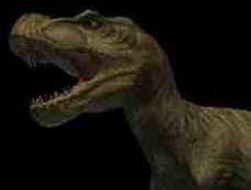 Evolução dos Dinossauros Evolução dos Dinossauros