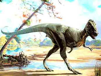 Evolução dos Dinossauros Evolução dos Dinossauros