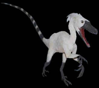 Evolução dos Dinossauros Evolução dos Dinossauros