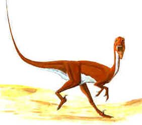 Evolução dos Dinossauros Evolução dos Dinossauros