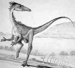 Evolução dos Dinossauros Evolução dos Dinossauros