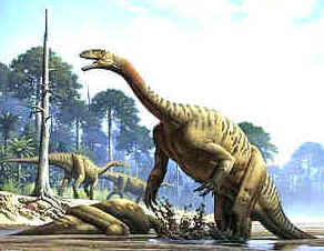 Evolução dos Dinossauros Evolução dos Dinossauros