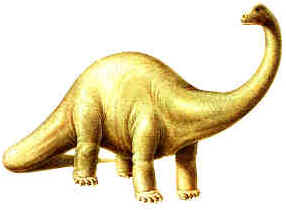 Evolução dos Dinossauros Evolução dos Dinossauros