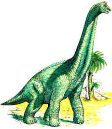 Evolução dos Dinossauros Evolução dos Dinossauros