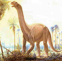 Evolução dos Dinossauros Evolução dos Dinossauros