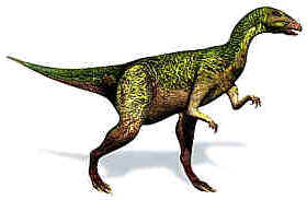 Evolução dos Dinossauros Evolução dos Dinossauros