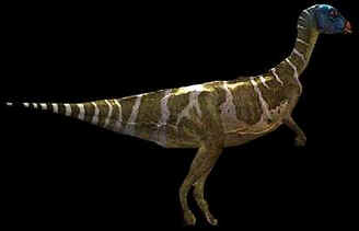 Evolução dos Dinossauros Evolução dos Dinossauros