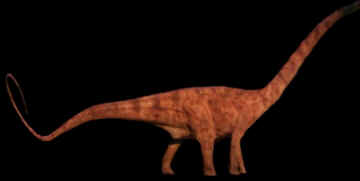 Evolução dos Dinossauros Evolução dos Dinossauros