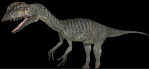 Evolução dos Dinossauros Evolução dos Dinossauros