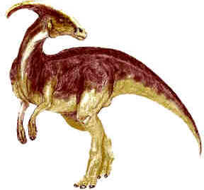Evolução dos Dinossauros Evolução dos Dinossauros