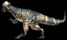 Evolução dos Dinossauros Evolução dos Dinossauros