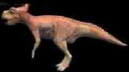 Evolução dos Dinossauros Evolução dos Dinossauros
