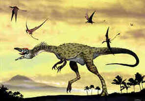 Evolução dos Dinossauros Evolução dos Dinossauros