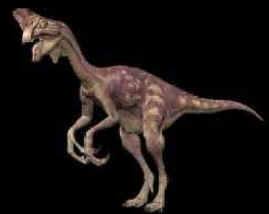 Evolução dos Dinossauros Evolução dos Dinossauros