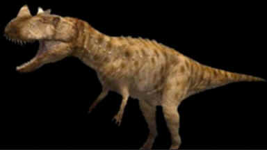 Evolução dos Dinossauros Evolução dos Dinossauros