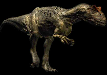 Evolução dos Dinossauros Evolução dos Dinossauros