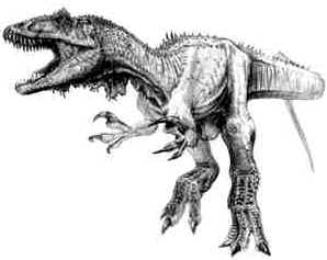 Evolução dos Dinossauros Evolução dos Dinossauros
