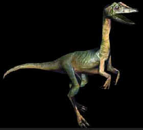 Evolução dos Dinossauros Evolução dos Dinossauros