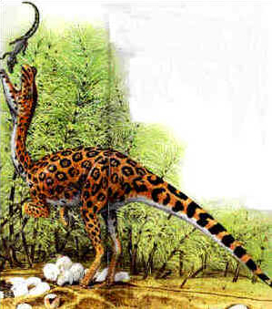 Evolução dos Dinossauros Evolução dos Dinossauros