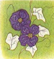 Horóscopo das Flores