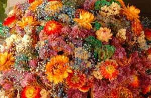 Horóscopo das Flores