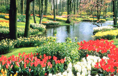 Horóscopo das Flores