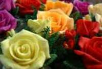 Horóscopo das Flores
