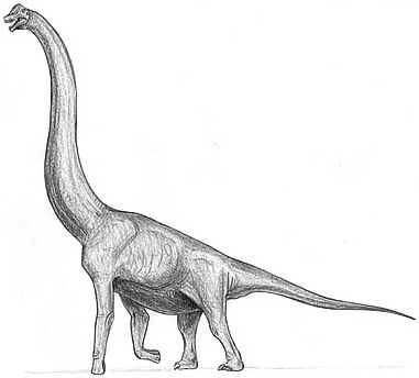 Giraffatitan Giraffatitan
