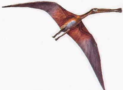 Gnathossauro Gnathossauro
