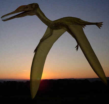 Gnathossauro Gnathossauro