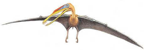 Gnathossauro Gnathossauro