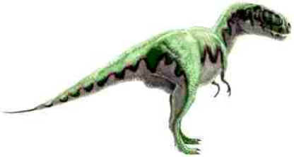 Gorgossauro Gorgossauro