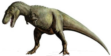 Gorgossauro Gorgossauro
