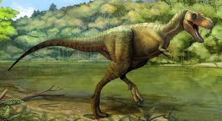 Gorgossauro Gorgossauro