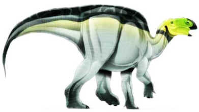 Hadrossauro Hadrossauro